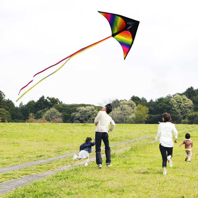 2x3m Tail Big Triangle Kite Easy To Fly Large Kite Toy with Wire Board Primary Stunt Kite