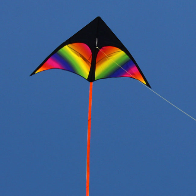 2x3m Tail Big Triangle Kite Easy To Fly Large Kite Toy with Wire Board Primary Stunt Kite
