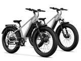 TST® Combo Sale Defender 26" Fat Tire Ebike For Adult
