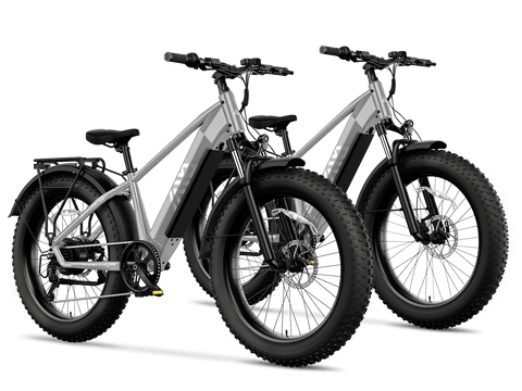 TST® Combo Sale Defender 26" Fat Tire Ebike For Adult