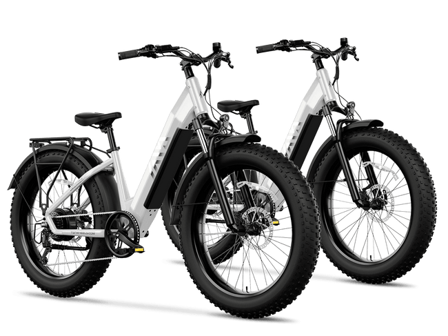 TST® Combo Sale Dreamer 26" Step-Thru Fat Tire Electric Bike