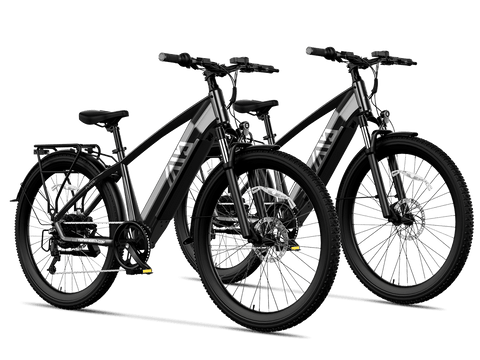 TST® Combo Sale Flyer 27.5" Commuter Convenience EBike