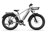 TST® Combo Sale Defender 26" Fat Tire Ebike For Adult
