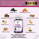 100% Himalaya Pure Shilajit Gummies 13 in 1 Non-GMO Brain Memory Cognitive Energy Health