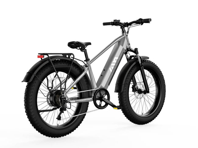 TST® Combo Sale Defender+Dreamer 26" Fat Tire Ebike For Adult