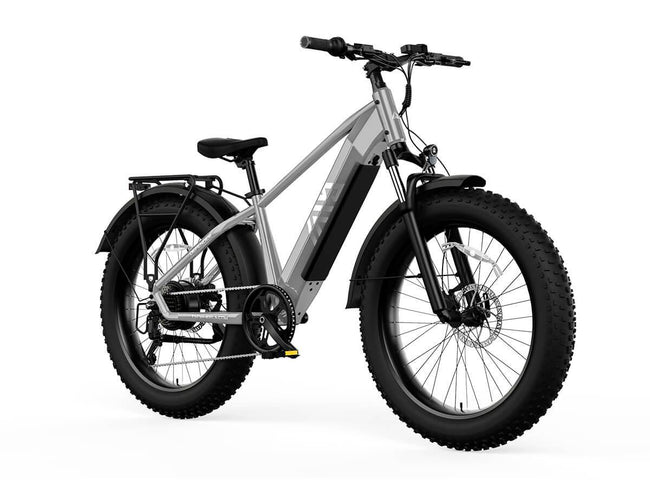 TST® Defender 26" Fat Tire Ebike For Adult