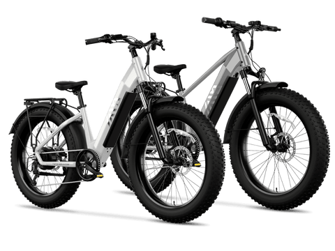 TST® Combo Sale Defender+Dreamer 26" Fat Tire Ebike For Adult