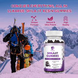 100% Himalaya Pure Shilajit Gummies 13 in 1 Non-GMO Brain Memory Cognitive Energy Health