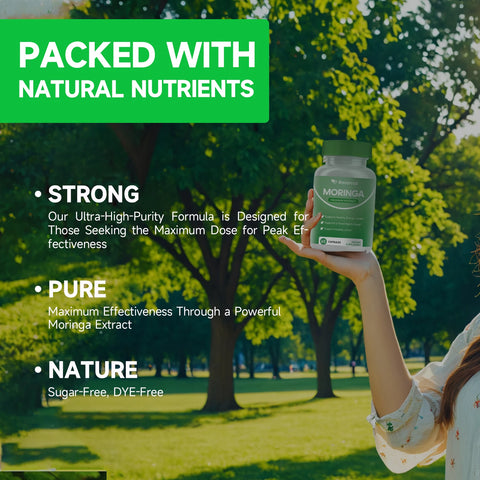 Moringa Powder Capsules - 800Mg of Pure Nutrient-Rich Moringa Powder - a Natural Green Antioxidant Superfood - Supports Energy