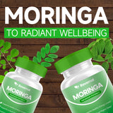 Moringa Powder Capsules - 800Mg of Pure Nutrient-Rich Moringa Powder - a Natural Green Antioxidant Superfood - Supports Energy