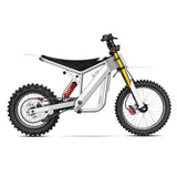 TST® GT73 17" 6000W 339Nm Electric Dirt Bike