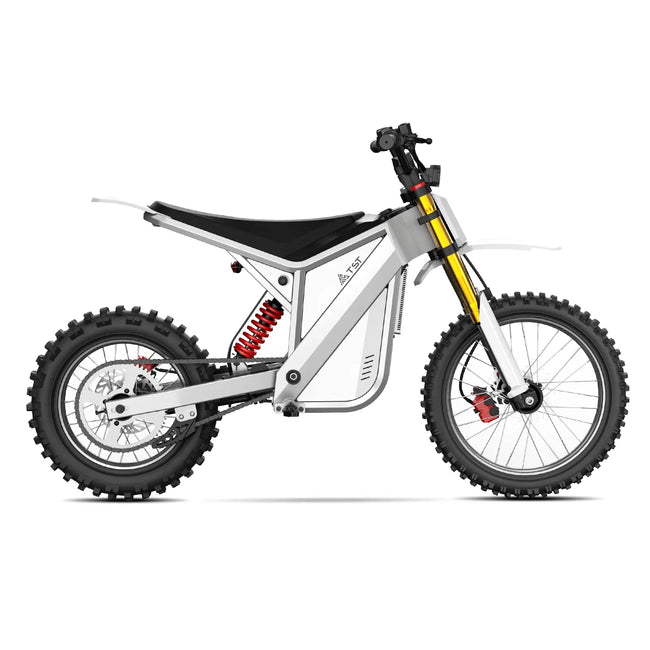 TST® GT73 17" 6000W 339Nm Electric Dirt Bike