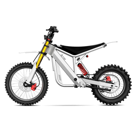 TST® GT73 17" 6000W 339Nm Electric Dirt Bike