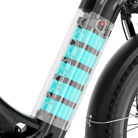 Aipas® Ebike Combo Sale M1 Pro+M2 Pro