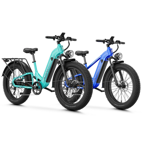 Aipas® Ebike Combo Sale M1 Pro+M2 Pro
