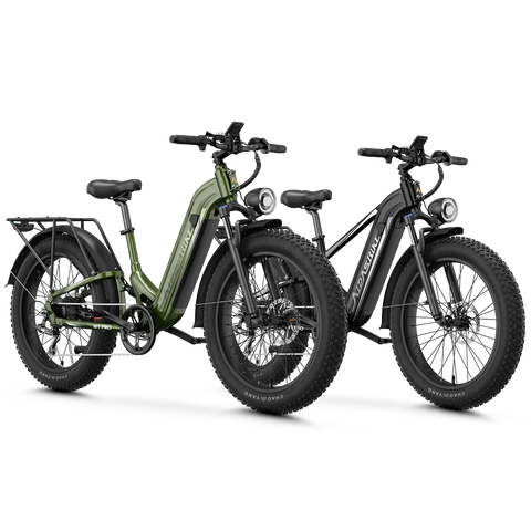 Aipas® Ebike Combo Sale M1 Pro+M2 Pro