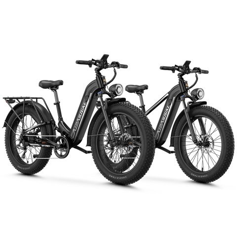 Aipas® Ebike Combo Sale M1 Pro+M2 Pro