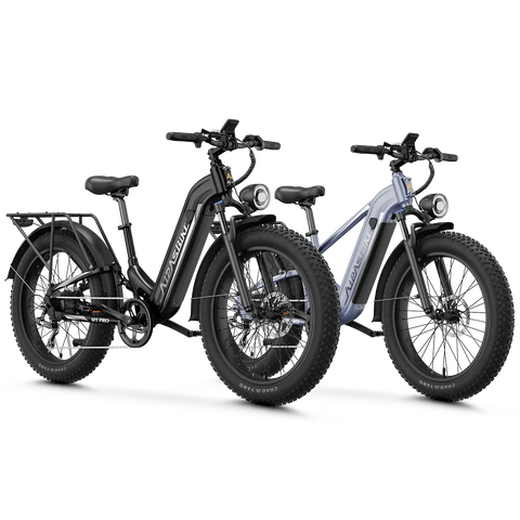 Aipas® Ebike Combo Sale M1 Pro+M2 Pro