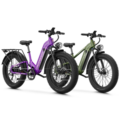 Aipas® Ebike Combo Sale M1 Pro+M2 Pro