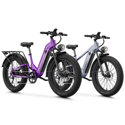 Aipas® Ebike Combo Sale M1 Pro+M2 Pro