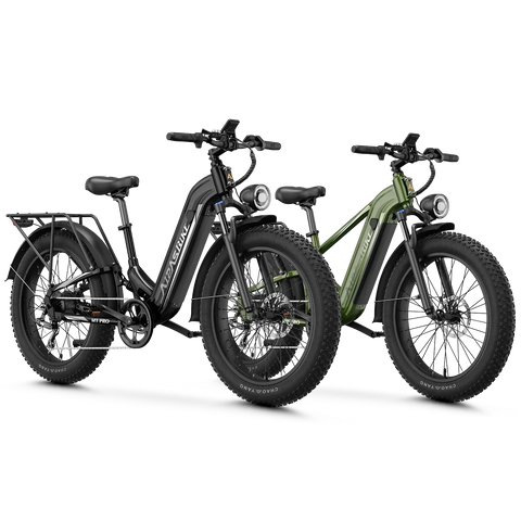 Aipas® Ebike Combo Sale M1 Pro+M2 Pro