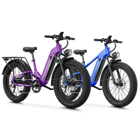 Aipas® Ebike Combo Sale M1 Pro+M2 Pro