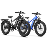 Aipas® Ebike Combo Sale M2 Pro*2