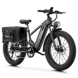Aipas® Ebike Combo Sale M2 Pro*2
