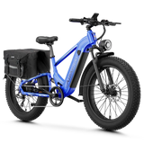 Aipas® Ebike Combo Sale M2 Pro*2