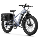 Aipas® Ebike Combo Sale M2 Pro*2