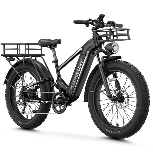 Aipas® Ebike Combo Sale M2 Pro*2