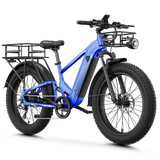 Aipas® Ebike Combo Sale M2 Pro*2