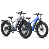 Aipas® Ebike Combo Sale M2 Pro*2