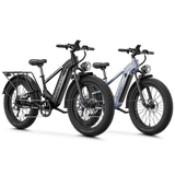 Aipas® Ebike Combo Sale M2 Pro*2