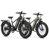 Aipas® Ebike Combo Sale M2 Pro*2