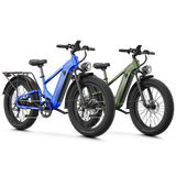Aipas® Ebike Combo Sale M2 Pro*2