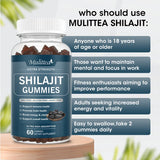 Pure Organic 100% Shilajit Gummies with 85+ Trace Mineral & Fulvic Acid Support Energy and Immune Male Hormone