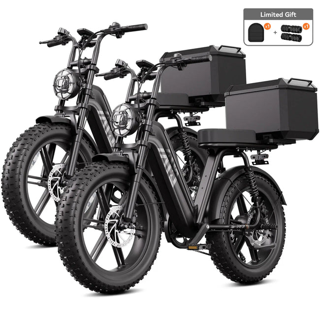 TST® Combo Sale R7 1500W Full Suspension Electric Cargo Bike