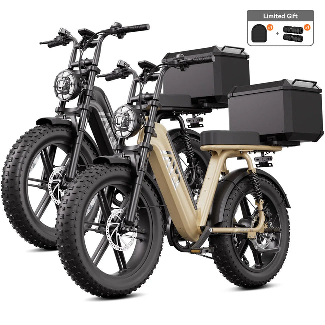 TST® Combo Sale R7 1500W Full Suspension Electric Cargo Bike