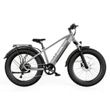 TST® Defender 26" Fat Tire Ebike For Adult