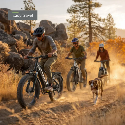 TST® Combo Sale Defender+Dreamer 26" Fat Tire Ebike For Adult