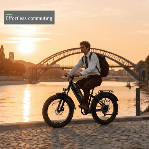 TST® Combo Sale Defender+Dreamer 26" Fat Tire Ebike For Adult