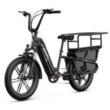 TST® Carrier 20'' Cargo Electric Bike