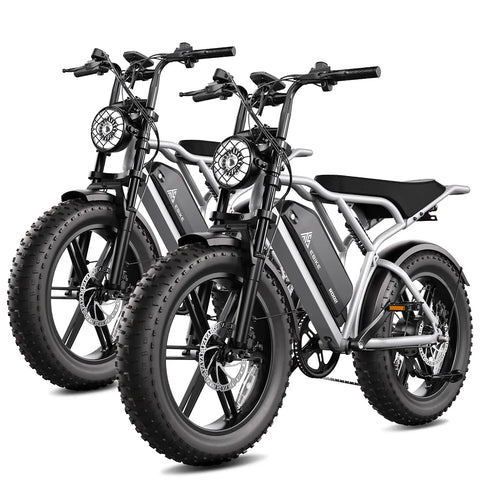 TST® Combo Sale R002 20" Full Suspension Moped-Style Ebike