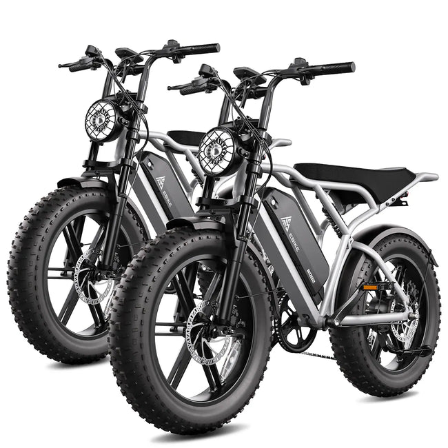 TST® Combo Sale R002 20" Full Suspension Moped-Style Ebike