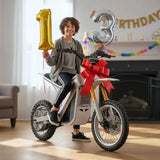 TST® GT63 14" 2200W 210Nm Electric Dirt Bike