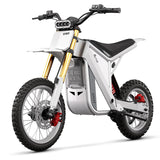 TST® GT63 14" 2200W 210Nm Electric Dirt Bike