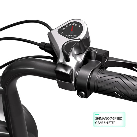 TST® R002 20'' 1500W Full Suspension Moped-style Electric Bike