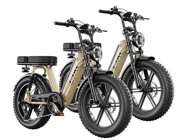 TST® Combo Sale R7 1500W Full Suspension Electric Cargo Bike