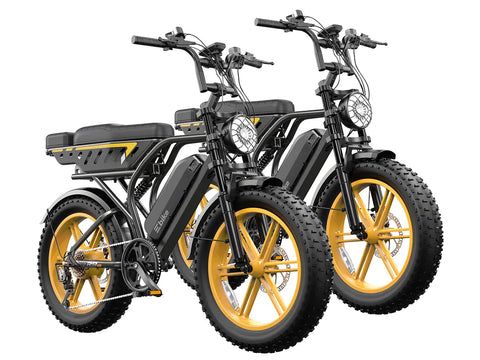 TST® Combo Sale R9 Dual-Battery 1500W Long-Range E-Bike